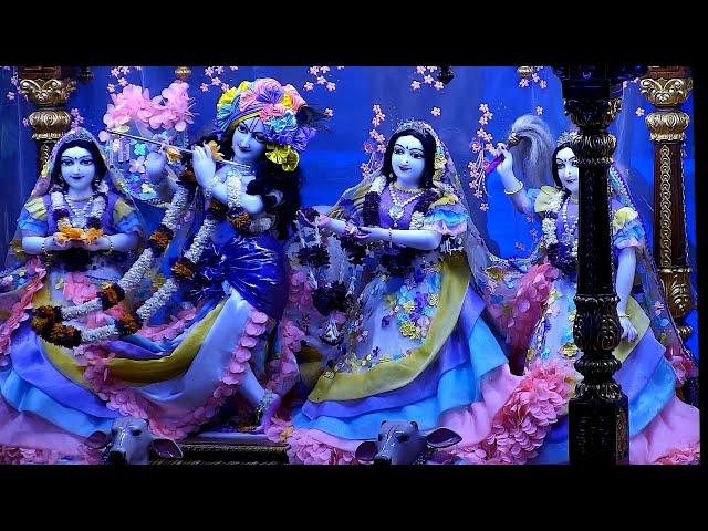 5th Nov. '24 | Shayan Arati Darshan | Sri Sri Radha Gopinath Temple | ISKCON Chowpatty Mumbai