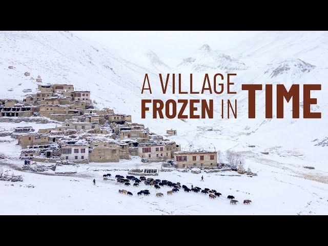 Winter Life at Zanskar's Remote SHADAY Village