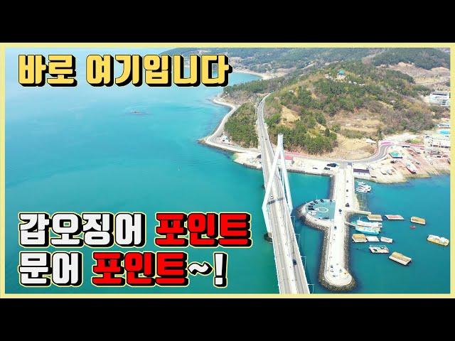 차박 후 1분만에 낚시가 가능한 곳~!(녹동항  낚시 전 시청 필수!!!)