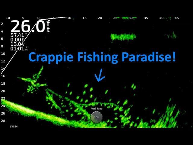 Fishing For Winter Crappie on Lake Darbonne!!!  Full-Screen LiveScope Fishing Footage!!!  Trip #15