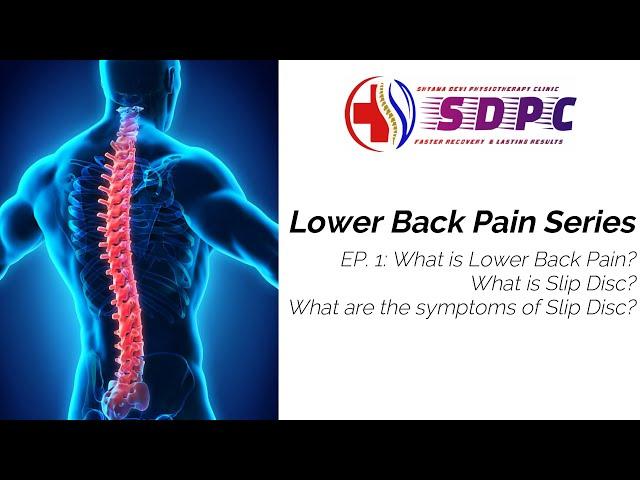 What is Lower Back Pain? | Lower Back Pain Series | #sdpc #IIAMS #physiotherapyindia