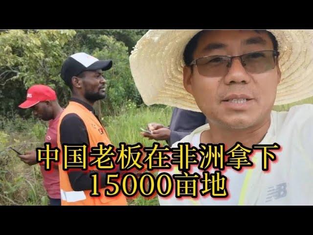 中国老板在非洲买下15000亩土地，省厅直接派人来了