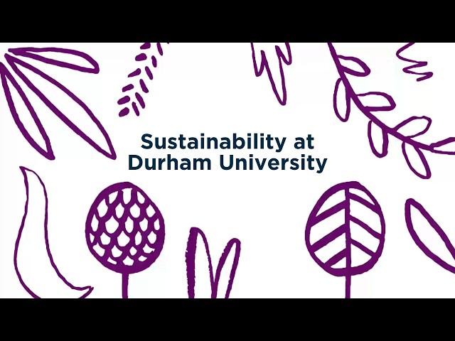 Sustainability at Durham University