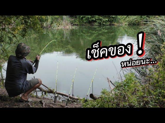 นอกจากปลาช่อนแล้ว..จะมีอะไรสิงอยู่อีกบ้างมั้ย | ตกปลาหน้าดิน | fishing