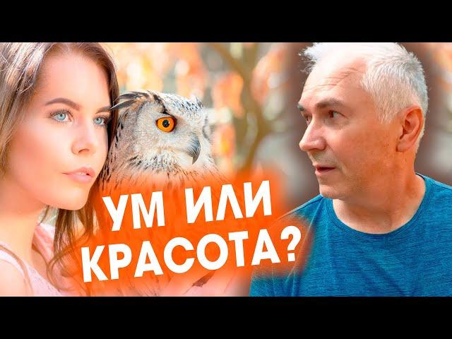 ЛЮБЯТ УМНЫХ ИЛИ КРАСИВЫХ? Александр Ковальчук  Психолог Отвечает