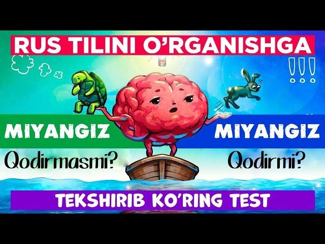 Rus tilini o'rganishga miyanggiz kuchi yetadimi? O'zinggizni tekshirib ko'ring. T E S T