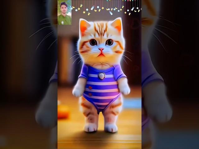 Apne babu sona ke pyar mangat hai #shortsfeed #youtubeshorts #shorts #bhojpuri #trending #cat