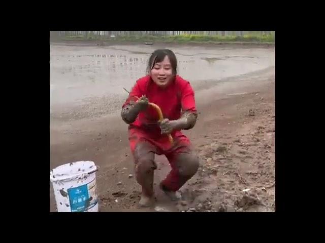 沒想到這麽小的洞居然藏了這麽大的鱔魚，為了生活一身紅裝下水田【鄉村魚小妹】