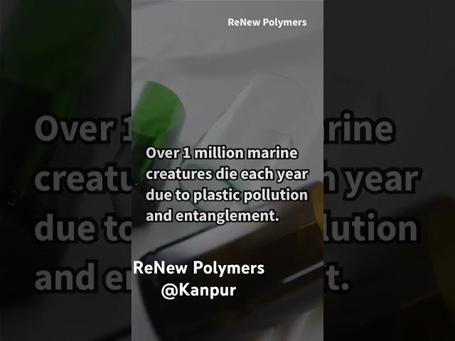 Plastic recycling | Pet flakes | Pet bottle recycling