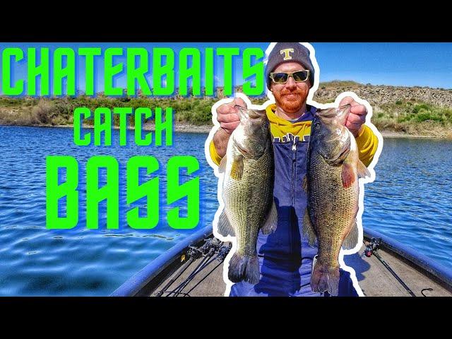 Chatterbait fishing in cold water