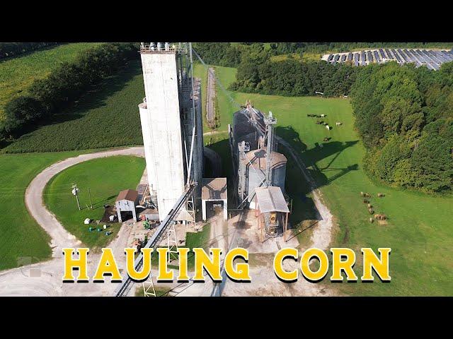 Hauling Corn - Ep. 7 Farm Life with Henry