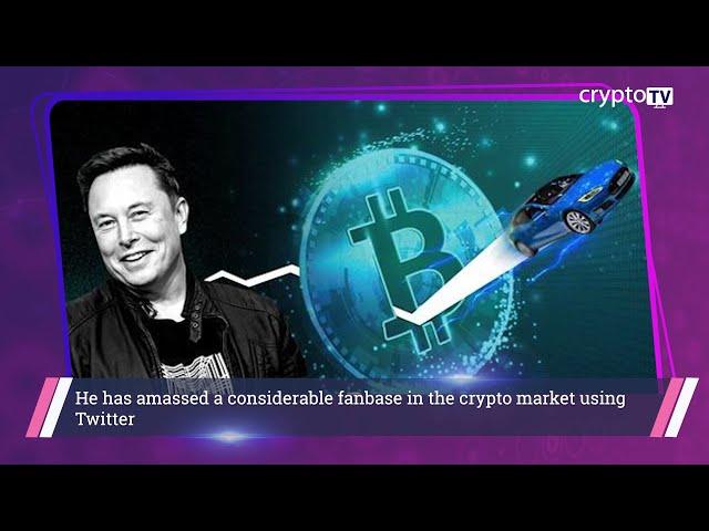 Elon Musk Show | Tip of the Cryptoberg