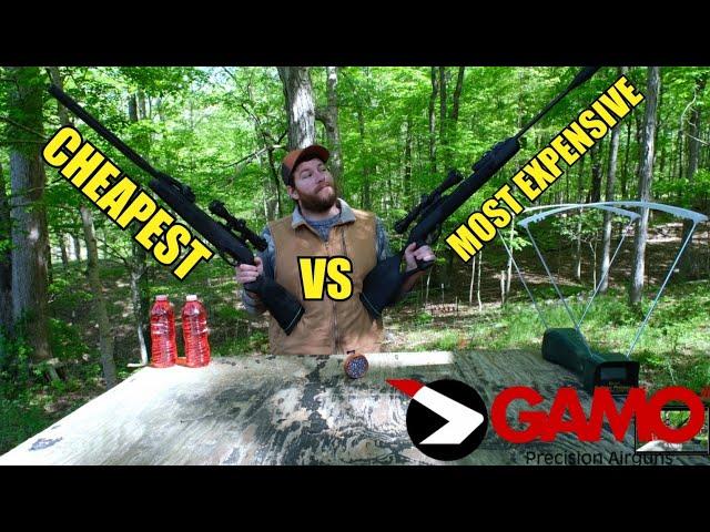 CHEAPEST VS MOST EXPENSIVE GAMO SWARM RIFLE. MAGNUM VS WHISPER