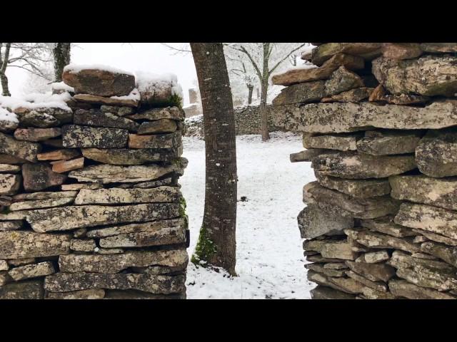 Frozen Nature