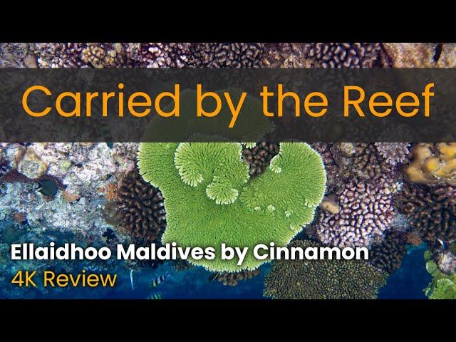 Ellaidhoo Maldives: Best house reef? - 4K full resort review