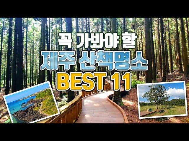 제주도 여행 /제주도 산책명소 BEST11 /제주도 걷기좋은길 /제주도 산책코스 /제주도 숲 추천 /제주도 걷기 명소 /제주도 가볼만한곳