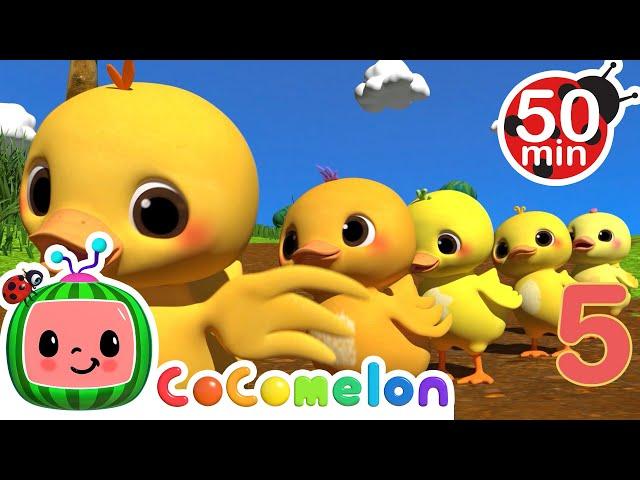 CoComelon - Ten Little Duckies | Learning Videos For Kids | Education Show For Toddlers