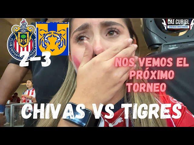 TIGRES CAMPEÓN / LA NOCHE MÁS TRISTE / GRACIAS POR TANTO REBAÑO / CATALINA CURIEL