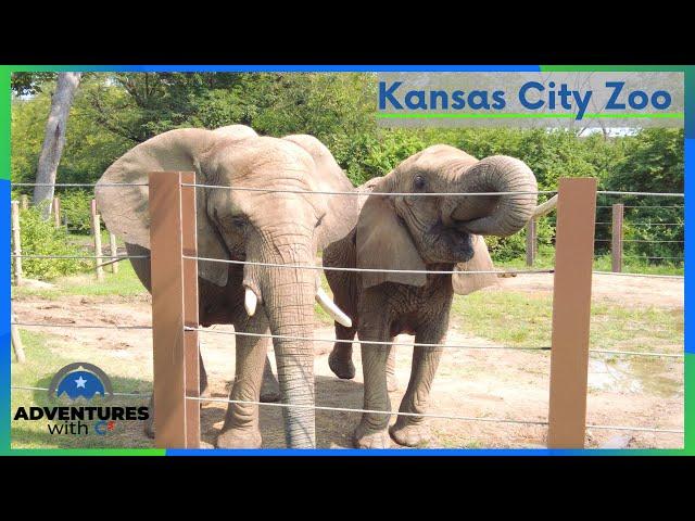 KC Zoo - Swope Park | Things to Do in Kansas City