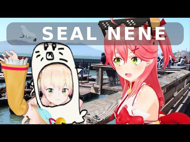 Sakura Miko Finds Seal Nene in San Francisco 「 Kanauru Original 」