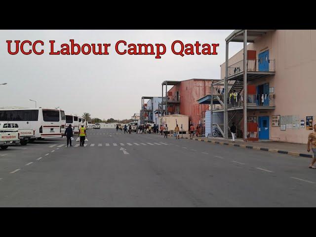 Ucc Company Qatar | Labour Camp Shahaniya Elegancia | The Times of Qatar