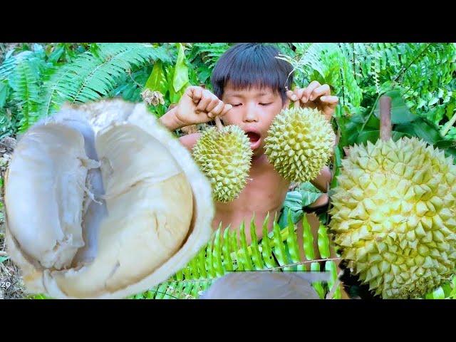 Wild people go nuts to eat durian primitive Eat wild