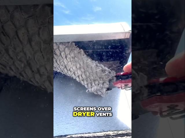 Stop Clogging: Why Dryer Vent Screens Are Dangerous #dryer #diy