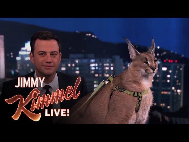 Dave Salmoni Scares Jimmy Kimmel with Wild Animals