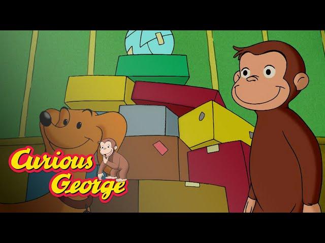 The Ball Collector  Curious George Kids Cartoon  Kids Movies Videos for Kids