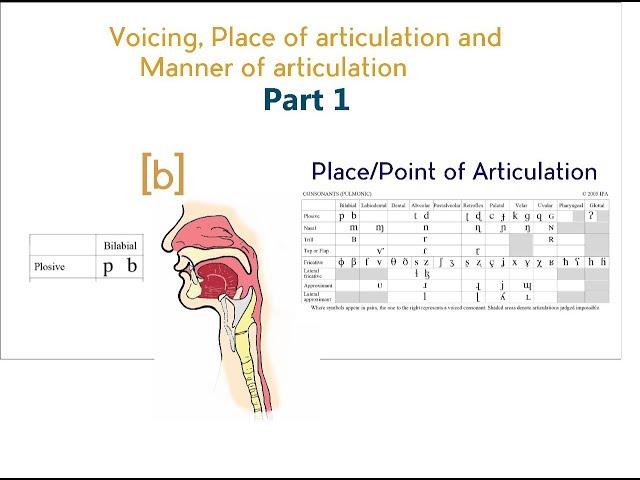 Voicing, Place & Manner of Articulation - Part 1