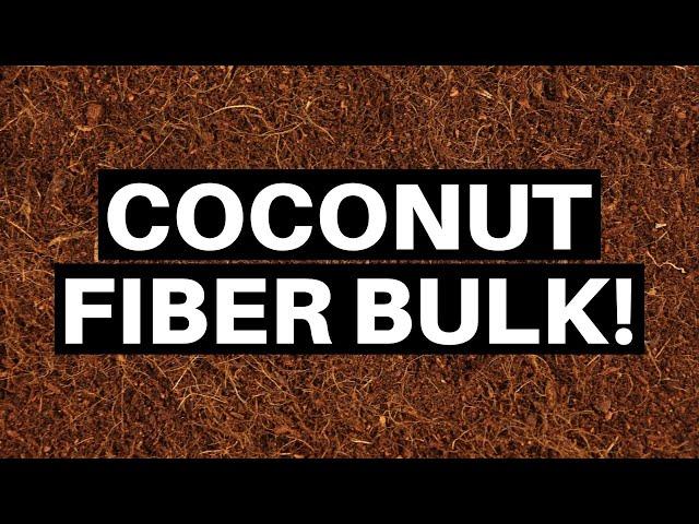 Quick Tip #4: Where To Find Coconut Fiber Bulk For Reptiles - Benjamin's Exotics