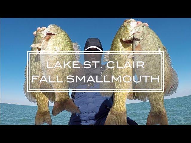 Late FALL Smallmouth - Lake St. Clair 2018