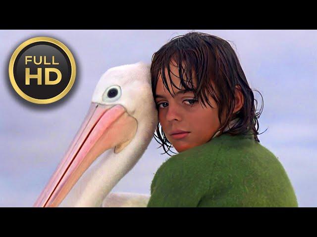  STORM BOY (1976) | Trailer | Full HD | 1080p