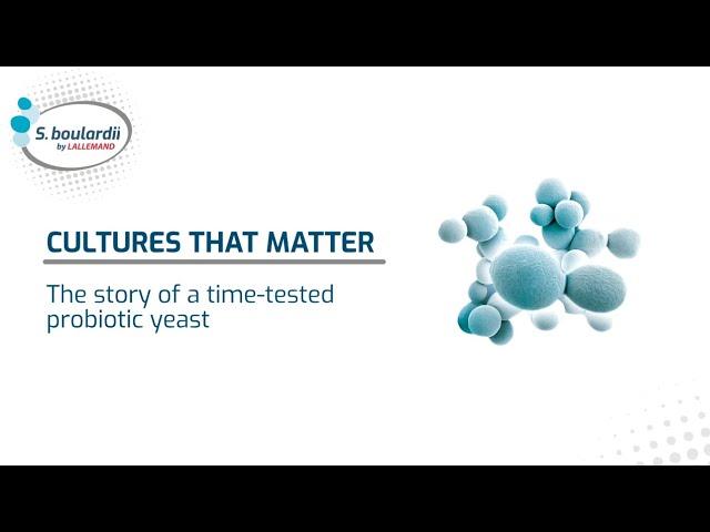 The story of a time tested probiotic yeast