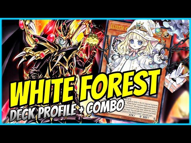 DRAGOON IS BACK! | WHITE FOREST JETZT NOCH BESSER! | DECK PROFILE + COMBO | Yu-Gi-Oh!