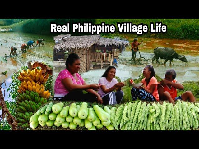 This Is What It's Like Living In The Village | Real Philippine Village Life