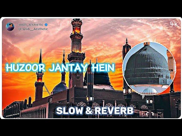 𝗛𝗨𝗭𝗢𝗢𝗥 𝗝𝗔𝗡𝗧𝗔𝗬 𝗛𝗘𝗜𝗡|| Mind Relaxing|| ( Slow + Reverb Naat )| Hasib Aesthetic | 2023