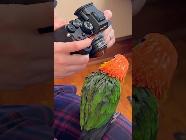 Photo Bombing Run ️