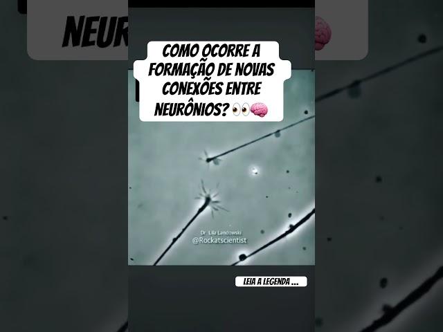 Observe a formação de uma nova sinapse entre dois neurônios. #neurociência #anatomia #neurônios