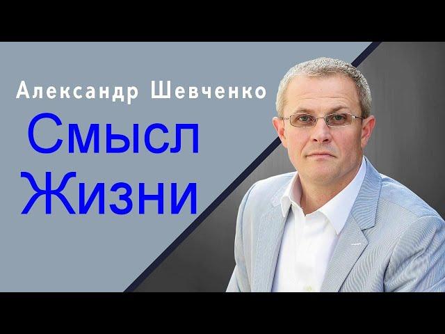 Смысл Жизни  Александр Шевченко