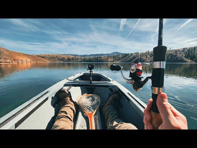 Camping Alone for Brook Trout (Catch & Cook)