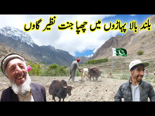 Beautiful Village Life In Skardu Baltistan | Peaceful and Natural Views | Thalay Valley