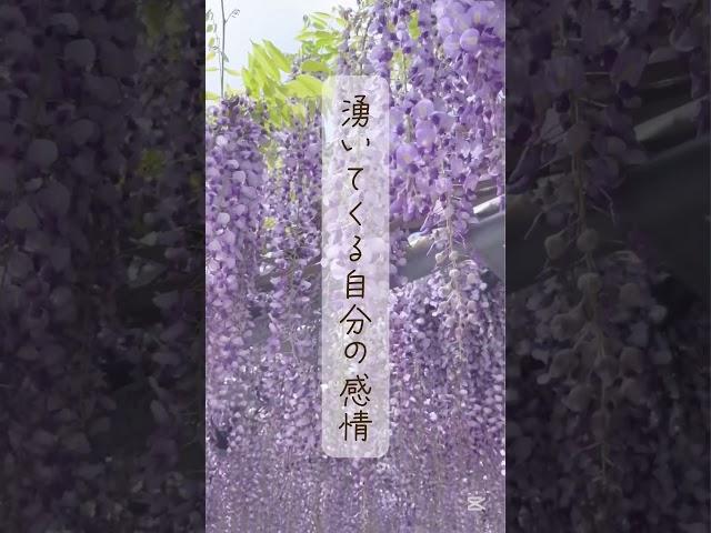 【本来の自分に還る】まるっとな(´∀｀*)