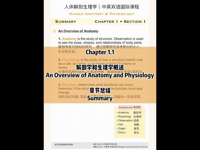 【考点&重点词汇总结|中英双语国际课程】人体解剖生理学 1.1 概述 | Human Anatomy & Physiology 1.1 Overview