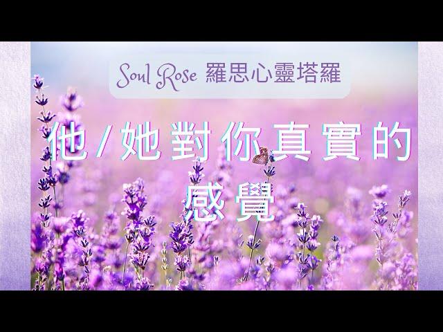  Soul Rose 塔羅占卜: 他/她今天對你真實的感覺?未來的發展? (不限時間)