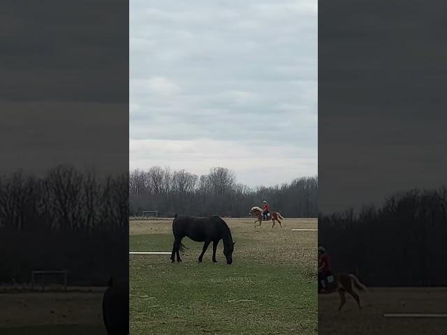 Riding Flicka!