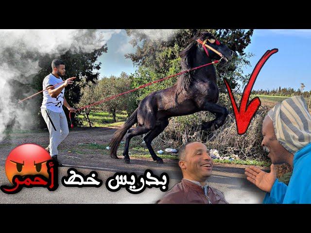 أخيرا سلينا الخدمة مع جدع شوفوا أشنوا دار وسط الخيل .. وهذا هو الرد على الناس لعيروانا أنا و بدريس 