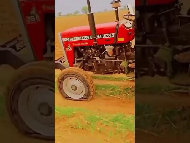 #tatar #tatarvideo #shorts #viral #massey #masseyvideo #masseylover #jat #jaat #jaatjamidar