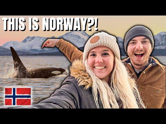 INSANE ORCAS, FJORDS, & NORTHERN LIGHTS (Tromso, Norway)