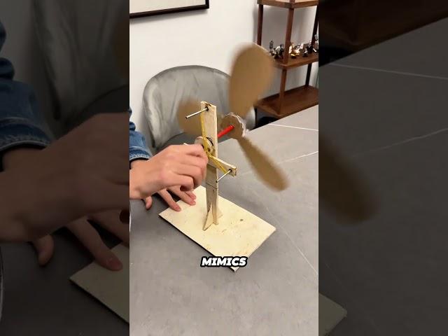 Perpetual Motion Fan? 